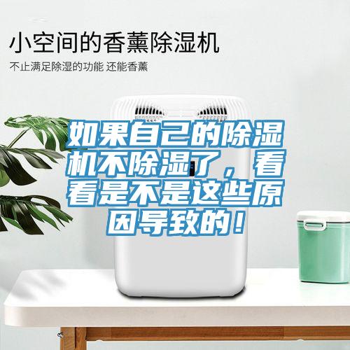 如果自己的除濕機不除濕了，看看是不是這些原因?qū)е碌模?></div>
								<div   id=