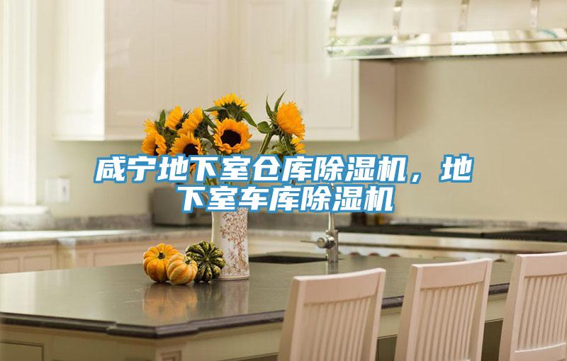 咸寧地下室倉(cāng)庫(kù)除濕機(jī)，地下室車庫(kù)除濕機(jī)