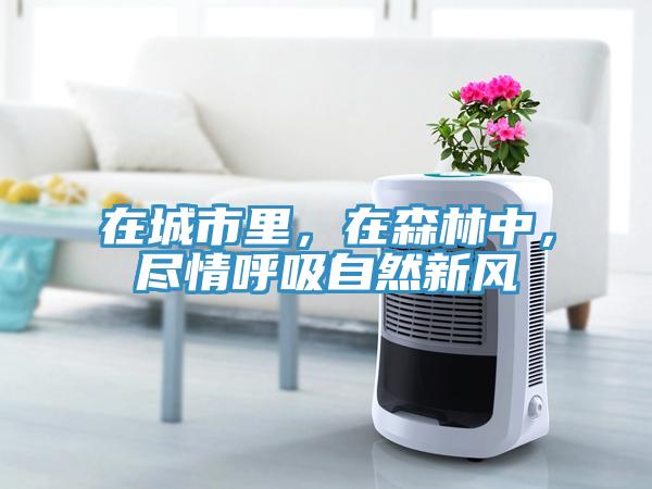 在城市里，在森林中，盡情呼吸自然新風