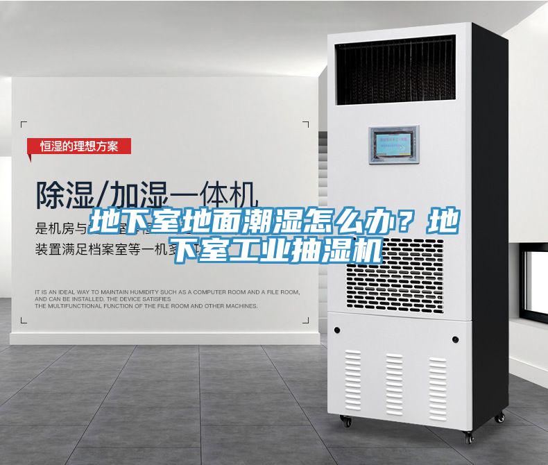 地下室地面潮濕怎么辦？地下室工業(yè)抽濕機