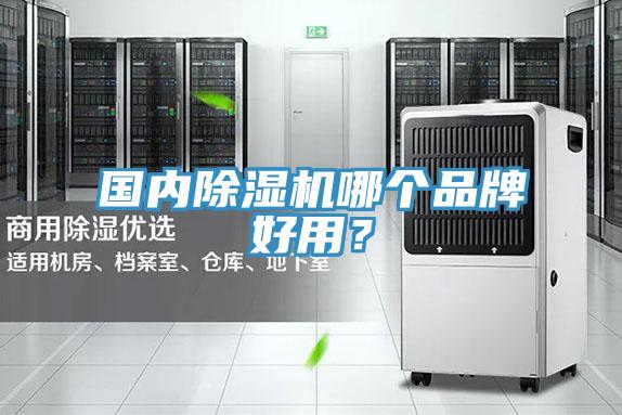 國(guó)內(nèi)除濕機(jī)哪個(gè)品牌好用？