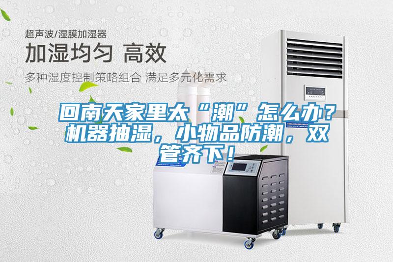 回南天家里太“潮”怎么辦？機器抽濕，小物品防潮，雙管齊下！
