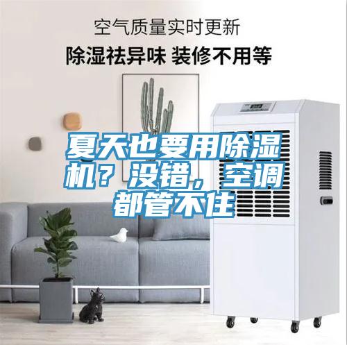 夏天也要用除濕機？沒錯，空調(diào)都管不住