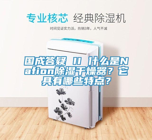 國成答疑 II 什么是Nafion除濕干燥器？它具有哪些特點？