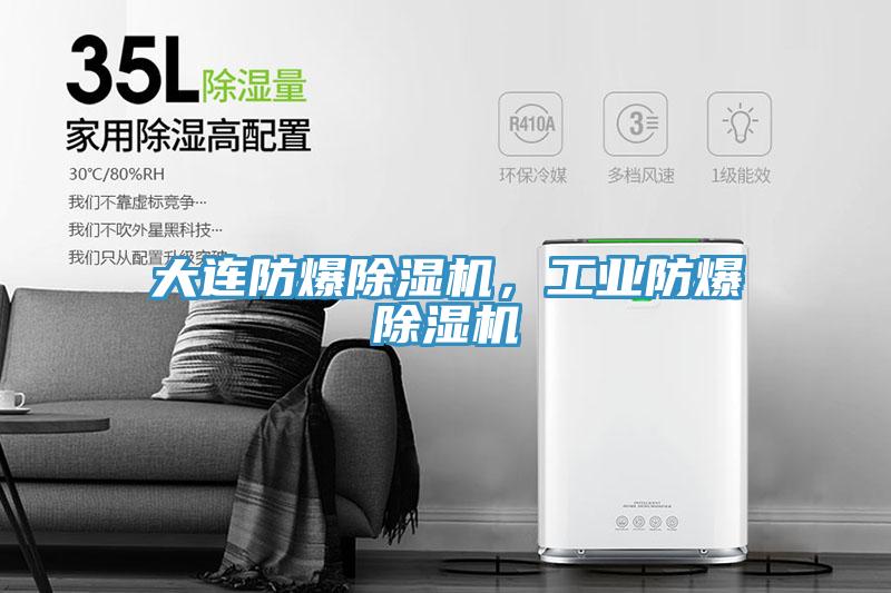 大連防爆除濕機(jī)，工業(yè)防爆除濕機(jī)