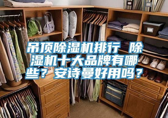吊頂除濕機(jī)排行 除濕機(jī)十大品牌有哪些？安詩(shī)曼好用嗎？
