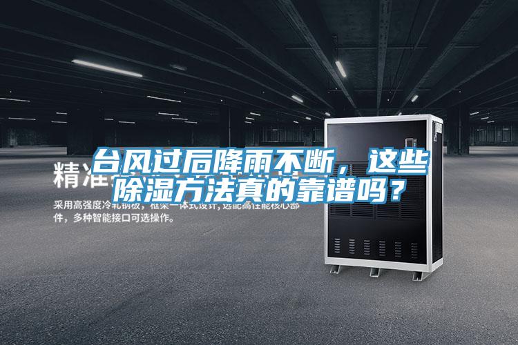 臺風過后降雨不斷，這些除濕方法真的靠譜嗎？