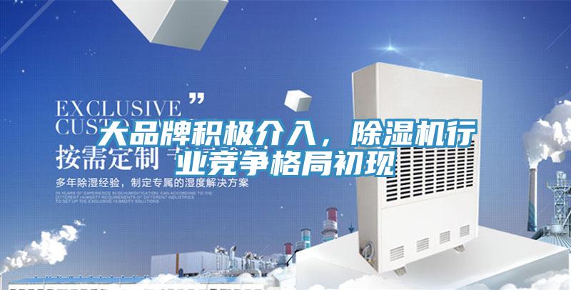 大品牌積極介入，除濕機(jī)行業(yè)競爭格局初現(xiàn)