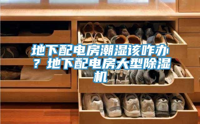 地下配電房潮濕該咋辦？地下配電房大型除濕機(jī)
