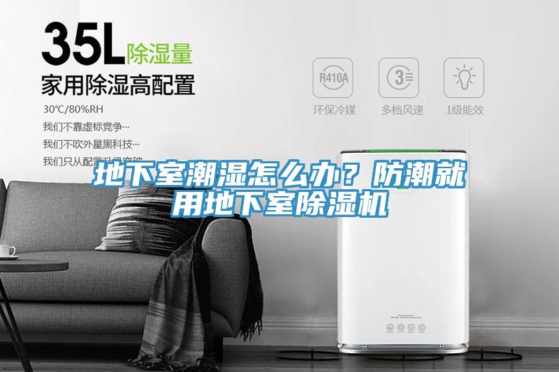 地下室潮濕怎么辦？防潮就用地下室除濕機(jī)