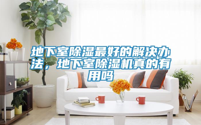 地下室除濕最好的解決辦法，地下室除濕機真的有用嗎