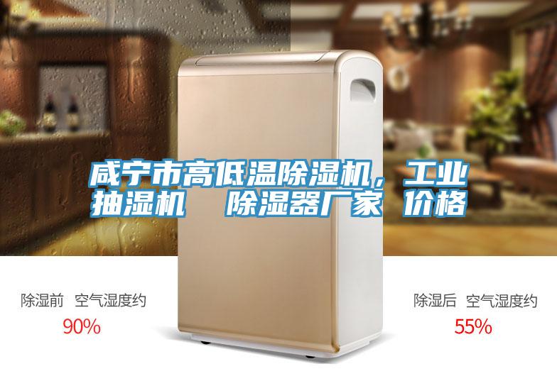 咸寧市高低溫除濕機(jī)，工業(yè)抽濕機(jī)  除濕器廠家 價(jià)格