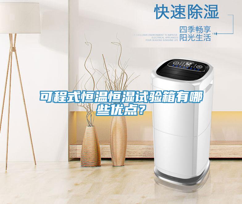可程式恒溫恒濕試驗(yàn)箱有哪些優(yōu)點(diǎn)？