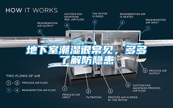 地下室潮濕很常見，多多了解防隱患