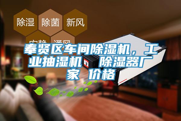 奉賢區(qū)車間除濕機(jī)，工業(yè)抽濕機(jī)  除濕器廠家 價(jià)格
