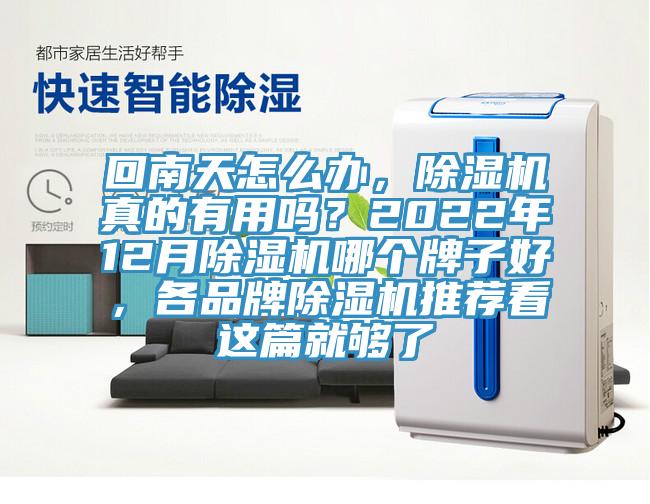回南天怎么辦，除濕機真的有用嗎？2022年12月除濕機哪個牌子好，各品牌除濕機推薦看這篇就夠了