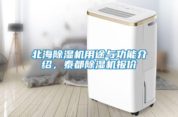 北海除濕機用途與功能介紹，泰都除濕機報價