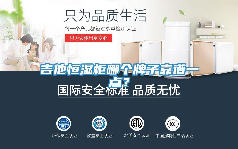 吉他恒濕柜哪個牌子靠譜一點？