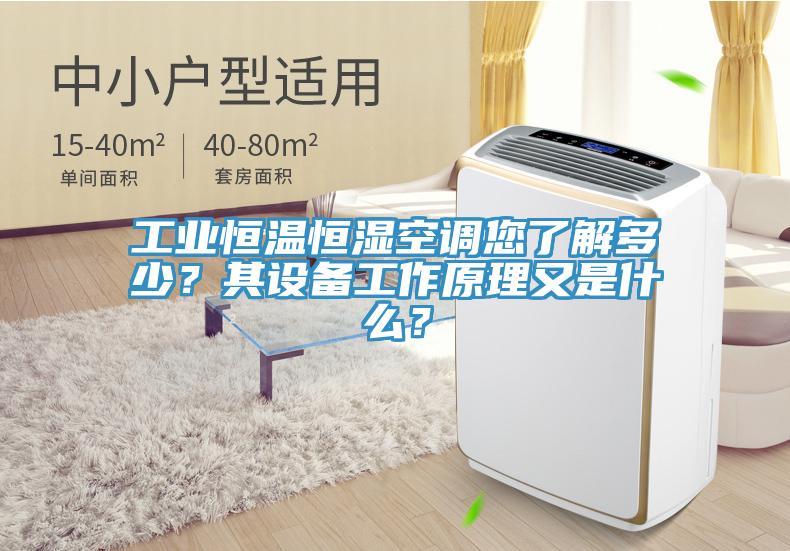 工業(yè)恒溫恒濕空調(diào)您了解多少？其設(shè)備工作原理又是什么？
