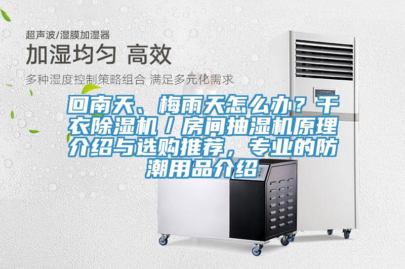 回南天、梅雨天怎么辦？干衣除濕機(jī)／房間抽濕機(jī)原理介紹與選購?fù)扑]，專業(yè)的防潮用品介紹