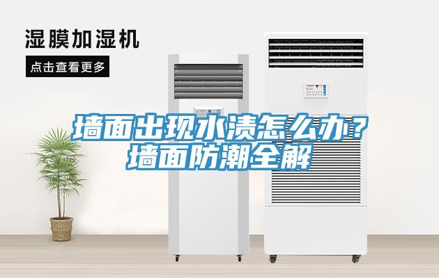 墻面出現(xiàn)水漬怎么辦？墻面防潮全解