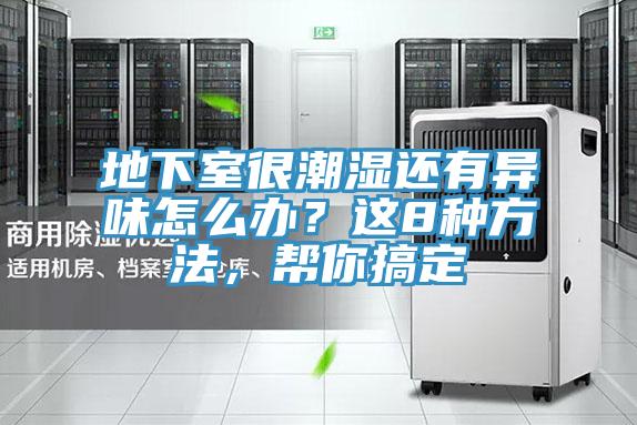 地下室很潮濕還有異味怎么辦？這8種方法，幫你搞定