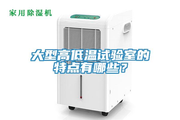 大型高低溫試驗(yàn)室的特點(diǎn)有哪些？