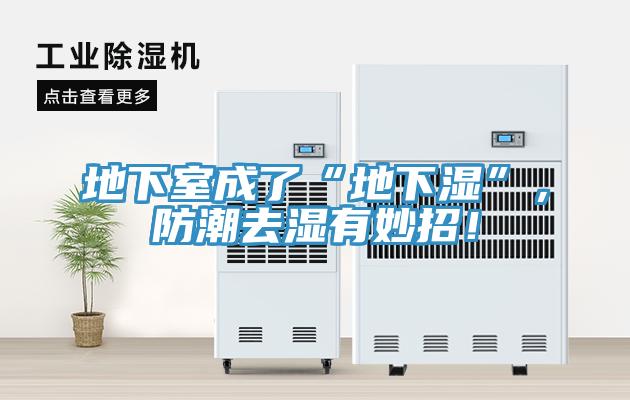 地下室成了“地下濕”，防潮去濕有妙招！