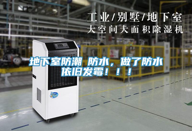 地下室防潮≠防水，做了防水依舊發(fā)霉?。?！