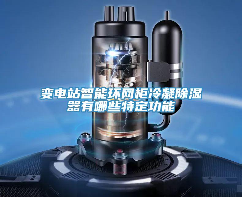 變電站智能環(huán)網柜冷凝除濕器有哪些特定功能