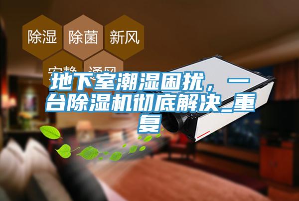 地下室潮濕困擾，一臺(tái)除濕機(jī)徹底解決_重復(fù)