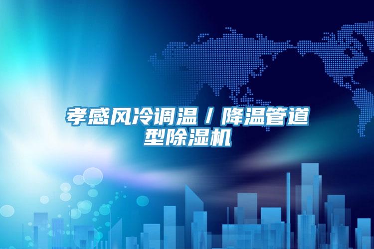 孝感風冷調(diào)溫／降溫管道型除濕機