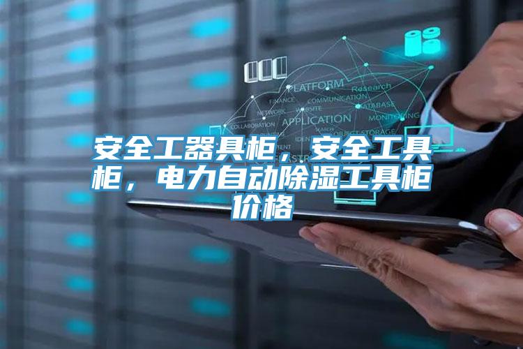 安全工器具柜，安全工具柜，電力自動(dòng)除濕工具柜價(jià)格