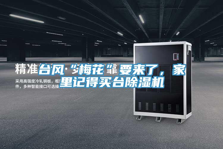 臺風(fēng)“梅花”要來了，家里記得買臺除濕機(jī)