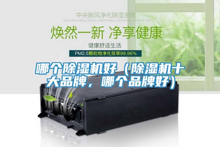 哪個(gè)除濕機(jī)好（除濕機(jī)十大品牌，哪個(gè)品牌好）