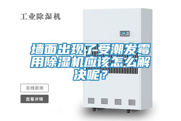 墻面出現(xiàn)了受潮發(fā)霉用除濕機應該怎么解決呢？