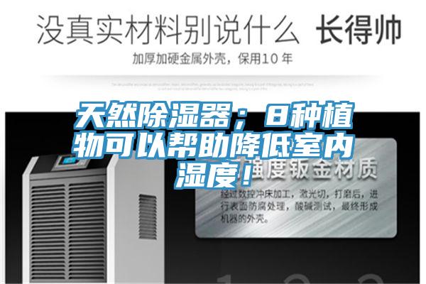 天然除濕器；8種植物可以幫助降低室內(nèi)濕度！