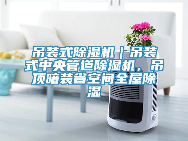 吊裝式除濕機(jī)｜吊裝式中央管道除濕機(jī)，吊頂暗裝省空間全屋除濕