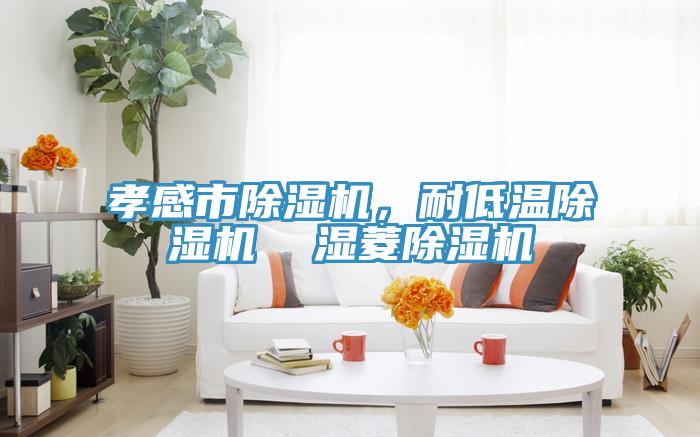 孝感市除濕機，耐低溫除濕機  濕菱除濕機
