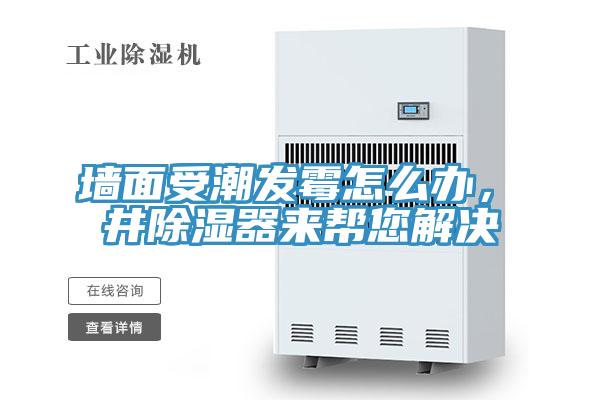墻面受潮發(fā)霉怎么辦，東井除濕器來幫您解決