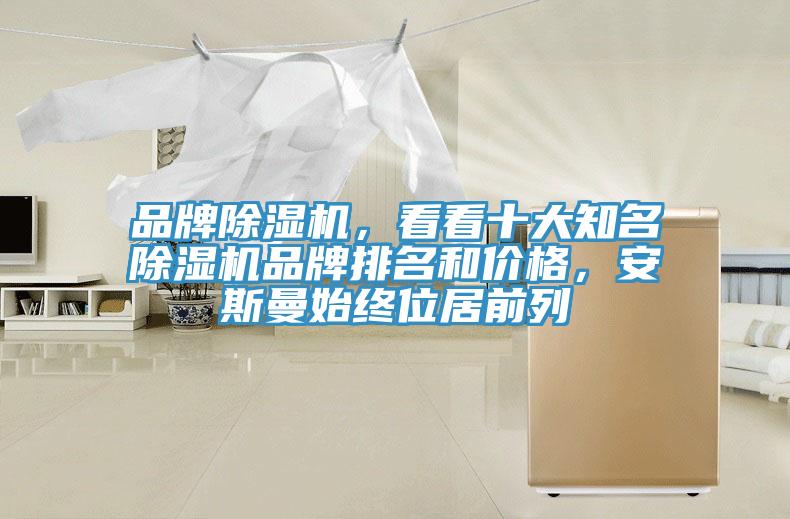 品牌除濕機(jī)，看看十大知名除濕機(jī)品牌排名和價(jià)格，安斯曼始終位居前列
