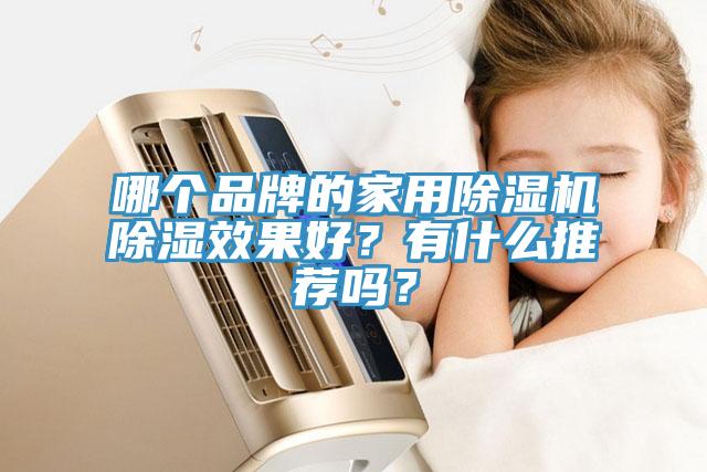哪個(gè)品牌的家用除濕機(jī)除濕效果好？有什么推薦嗎？