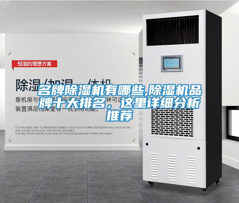 名牌除濕機(jī)有哪些,除濕機(jī)品牌十大排名，這里詳細(xì)分析推薦
