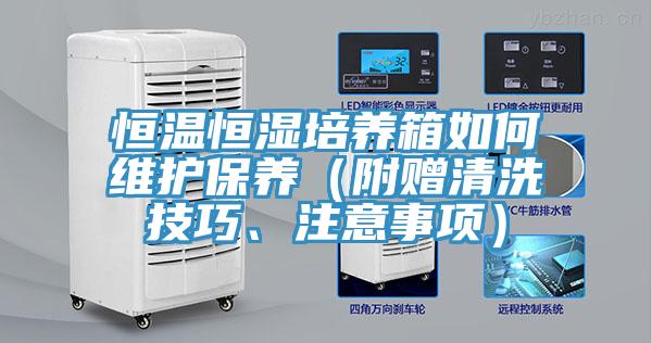 恒溫恒濕培養(yǎng)箱如何維護保養(yǎng)（附贈清洗技巧、注意事項）