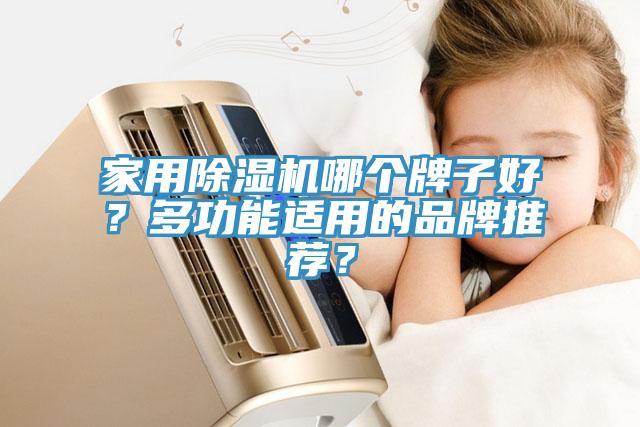 家用除濕機(jī)哪個(gè)牌子好？多功能適用的品牌推薦？