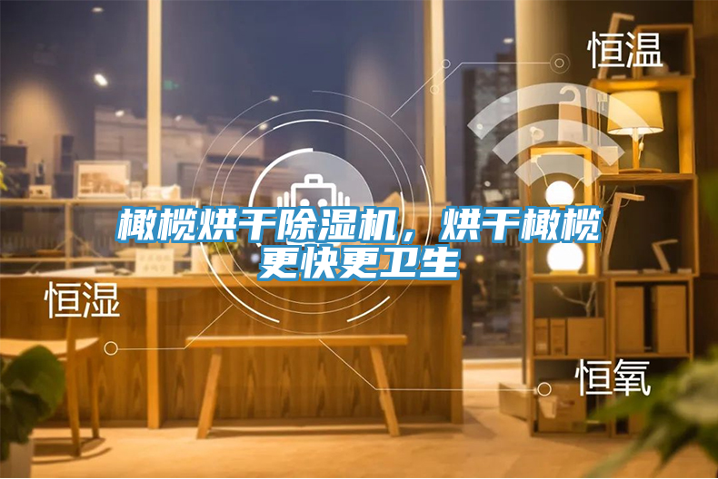 橄欖烘干除濕機，烘干橄欖更快更衛(wèi)生