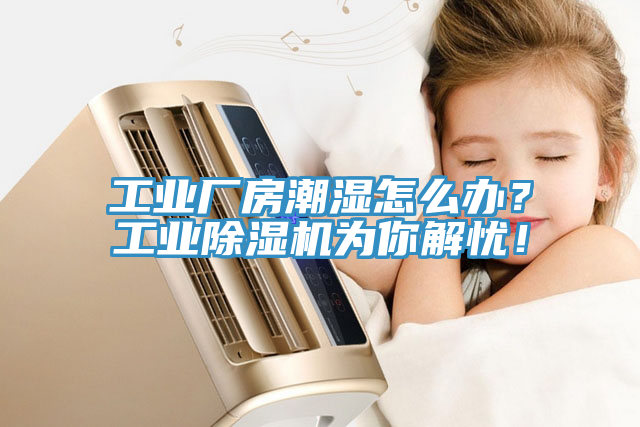 工業(yè)廠房潮濕怎么辦？工業(yè)除濕機(jī)為你解憂！