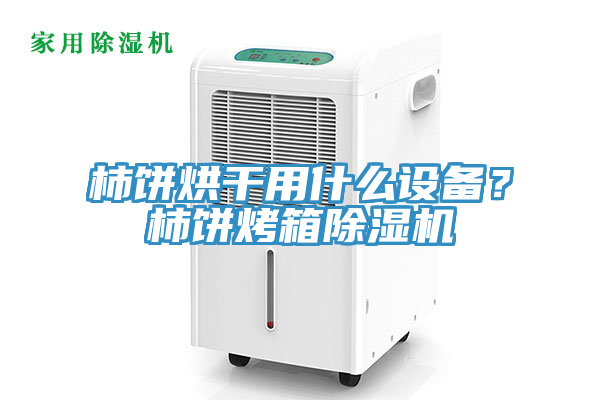 柿餅烘干用什么設(shè)備？柿餅烤箱除濕機