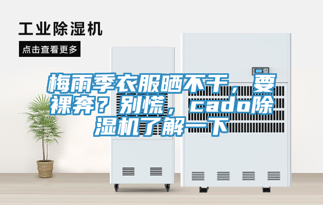 梅雨季衣服曬不干，要裸奔？別慌，cado除濕機(jī)了解一下