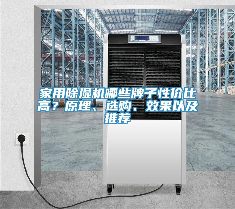 家用除濕機(jī)哪些牌子性價比高？原理、選購、效果以及推薦